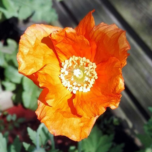 ik-vertel-in-woorden-wat-jij-laat-zien